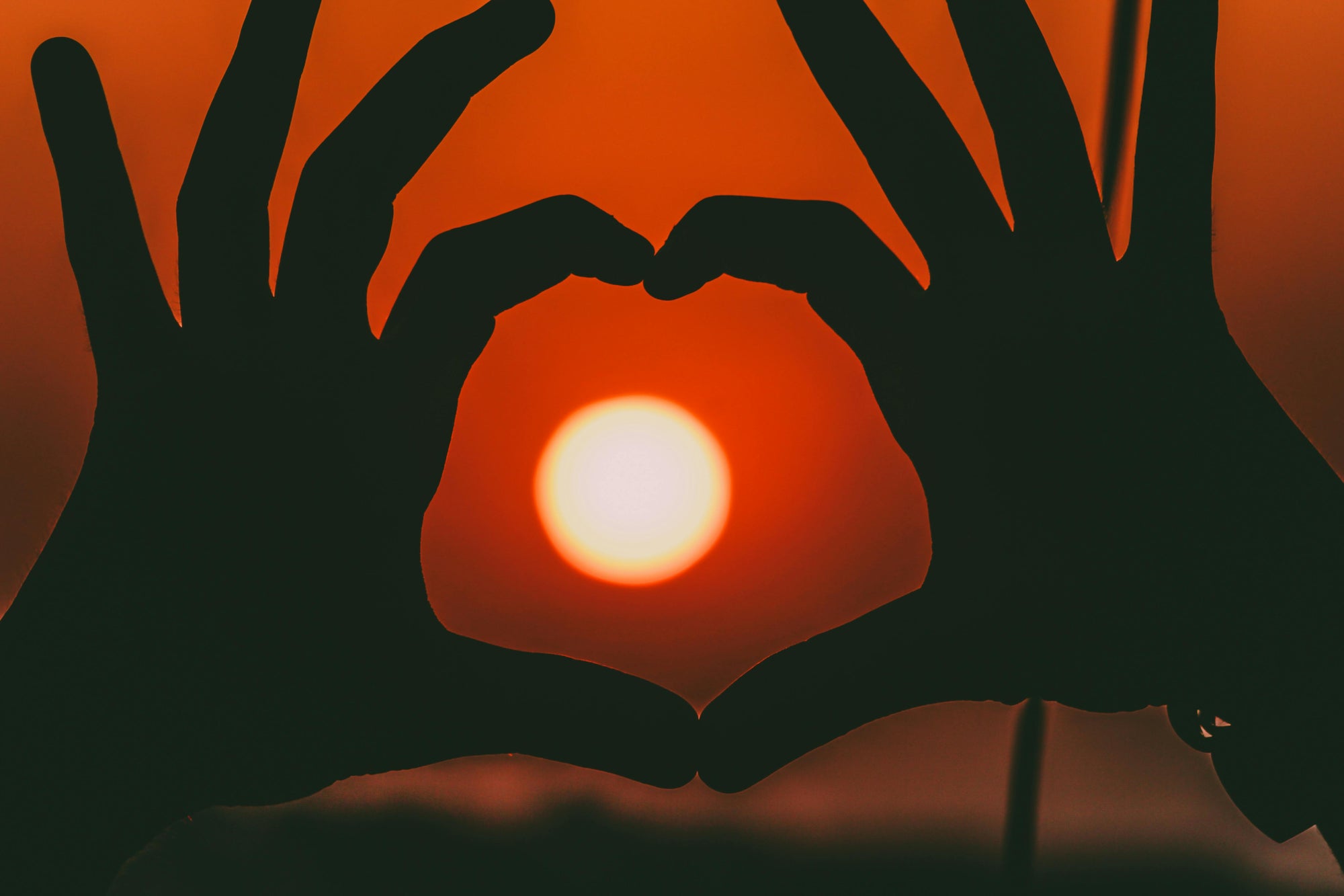 San Valentino: Yoga ed Emozioni per Coltivare l’Amore e la Connessione